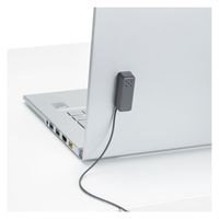 サンワサプライ アラームセキュリティ(ループワイヤー) SL-29ALMN 1個（直送品）