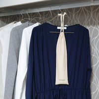 東洋ケース 乾燥剤 2本入り サラリカ クローゼット用 シリカゲル 除湿 370105 1個（直送品）