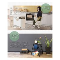 Netforce 折りたたみ 踏み台2段 ブラック NF-FD-2-AW 1台（直送品）