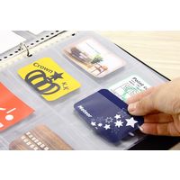 ライオン事務器 分類ポケット カードサイズ A4 30穴 BP-8 14726 1セット(5枚)