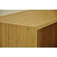 エイ・アイ・エス フリーホーム オープンラック 幅250×奥行294×高さ589mm FRH-6025 NA 1台（直送品）