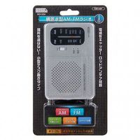 横置き型AM・FMラジオ シルバー RD13SV ヤザワコーポレーション（直送品）
