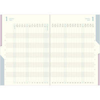 ダブルスケジュール<B6> 進行 紺 27716006 デザインフィル（直送品）