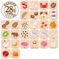 【非常食】 アルファー食品 安心米五目ご飯 114217611 5年10ヶ月保存 1セット（15食入）