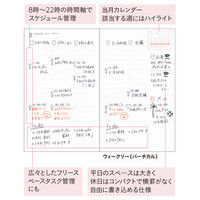 日本ノート camino A6スリムダイアリーシャンパンゴールド PBF91GO19（直送品）