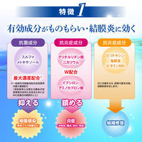 抗菌アイリス使いきり 18本 大正製薬  抗菌目薬 ものもらい・結膜炎【第2類医薬品】