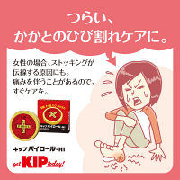 キップパイロールHi 40g キップ薬品　塗り薬　日焼け 軽度のやけど 切傷 すり傷 あかぎれ 雪焼け【第2類医薬品】