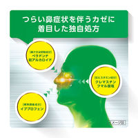 ルルアタックNX 12錠 第一三共ヘルスケア  風邪薬  鼻かぜ 鼻水 鼻づまり のどの痛み せき【指定第2類医薬品】