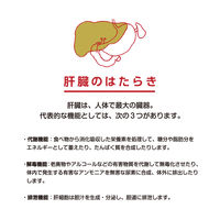 グロンサン内服液 20ml×10本 滋養強壮、肉体疲労時の栄養補給に【第3類医薬品】