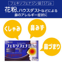 フェキソフェナジン錠「ST」a 60錠 グレートアンドグランド　花粉などによるアレルギー性鼻炎 鼻水 くしゃみ【第2類医薬品】