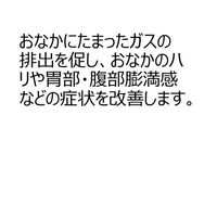 ザ・ガードコーワ整腸錠α3+ 550錠 興和　整腸剤 乳酸菌・納豆菌配合 下痢 軟便 ザガード【第3類医薬品】