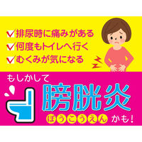 腎仙散 21包 摩耶堂製薬　生薬製剤 膀胱炎 むくみ 腎炎【第2類医薬品】