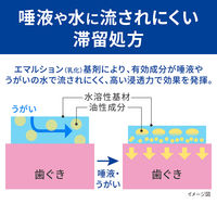 デントヘルスBb 45g ライオン　ブラッシングタイプ 歯槽膿漏薬 歯茎の腫れ・痛み・出血に【第3類医薬品】