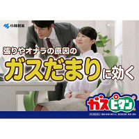 ガスピタンa 36錠 小林製薬【第3類医薬品】