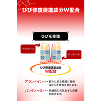 ヒビケア軟膏 15g 池田模範堂　塗り薬 パックリ割れ 手指のひび割れ あかぎれ【第3類医薬品】