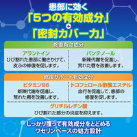 メンソレータム ヒビプロ LP 6g ロート製薬 ひび割れ 口唇炎 口角炎【第3類医薬品】