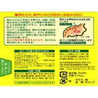 セルベール整胃錠 45錠 エーザイ　胃薬 テプレノン配合 胃もたれ 胸やけ【第2類医薬品】