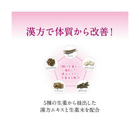 ペア漢方エキス錠 240錠 ライオン　漢方薬 桂枝茯苓丸 冷えのぼせ にきび しみ 月経痛 月経不順【第2類医薬品】