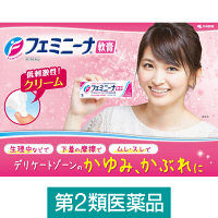 フェミニーナ軟膏S 30g 小林製薬【第2類医薬品】