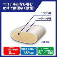 ニコチネルガム  ミント 90個 Haleonジャパン　ペパーミント風味 禁煙補助薬 禁煙ガム ニコチン置換療法【指定第2類医薬品】