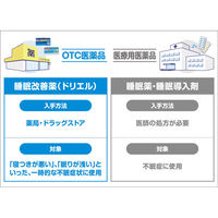 ドリエル 6錠 エスエス製薬【指定第2類医薬品】