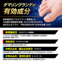 ダマリングランデパウダースプレー 90g 大正製薬 スプレータイプ ジュクジュクした水虫 たむしに【指定第2類医薬品】