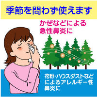 パブロン点鼻 15ml 大正製薬　鼻炎治療薬 点鼻薬 スプレー アレルギー性鼻炎 鼻みず 鼻づまり 副鼻腔炎【第2類医薬品】