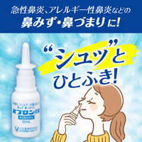 パブロン点鼻 30ml 大正製薬　鼻炎治療薬 点鼻薬 スプレー アレルギー性鼻炎 鼻みず 鼻づまり 副鼻腔炎【第2類医薬品】