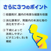 ピタリット 12錠 大正製薬　下痢止め薬 食べすぎ・飲みすぎによる下痢に 食あたり 水あたり【指定第2類医薬品】