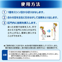 プリザエース坐剤T 30個 大正製薬　坐薬 ステロイド配合 痔 はれ かゆみ【指定第2類医薬品】