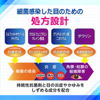 【アウトレット】新サルファグリチルアイリス 14ml 大正製薬 ものもらい 結膜炎【第2類医薬品】