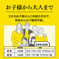 大正漢方胃腸薬 〈錠剤〉 100錠 大正製薬 胃のもたれ 胃部不快感 胃炎 胃痛【第2類医薬品】