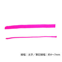 ぺんてる ペイントマーカー MWP30 桃 MWP30-P 1セット(10本)