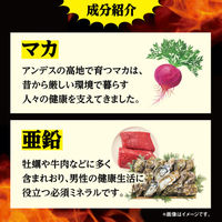 マカ・亜鉛 PREMIUM 約30日分(90粒入り)【小林製薬の栄養補助食品】 1セット（2袋） サプリメント