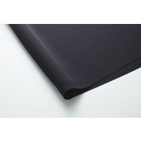 カーシーカシマ Aラインスカート_ブラック_11号 ESS666 1着