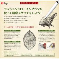 寺西化学工業 ラッション ドローイングペン Brush 10本 B-MRD-B-T1 1箱