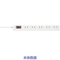 延長コード 電源タップ 5m 2P（ピン） 10個口 マグネット ライトグレー TAP-AS2-5 サンワサプライ 1個（直送品）