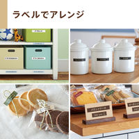 カシオ計算機　ネームランド　イーマ　KL-SP10　1台