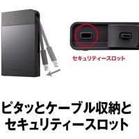 バッファロー 防雨・防塵・耐衝撃・自動暗号化機能搭載 ポータブルHDD 1TB HD-PZF1.0U3-BKA 1台（直送品）