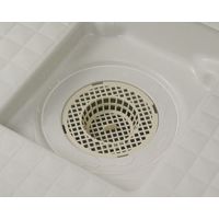 カクダイ ガオナ ヘアキャッチャー ユニットバス用 お風呂の排水口蓋 ゴミ受け 10.2センチ 髪の毛取り 日本製 GA-FW024 1個