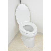 カクダイ ガオナ 前丸便座 ホワイト (標準・大型兼用 取替用 フタ付き) GA-NB002 1個