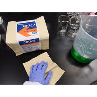 【ペーパーウエス】 大王製紙 エリエールプロワイプソフトフィットタオル帯どめ50 1セット（250組：50組入×5束）