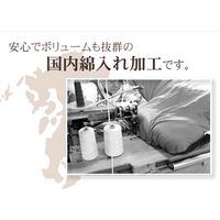 イケヒコ モダンリーフ柄 こたつ布団 『シエナ』 ベージュ 約2050×2450mm 1枚（直送品）