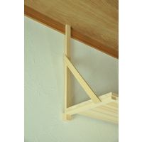 エイ・アイ・エス 棚板セット(大) 棚板大 1セット