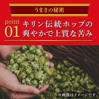 キリンビール キリン 本麒麟 （ほんきりん） 500ml×24缶