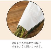 ヘッズ 迎春OPPパック-2 GS-OP2 1セット（250枚：50枚×5パック）（直送品）