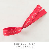 ヘッズ レターワイヤータイ/レッド LYT-RE 1セット(1000本:100本×10パック)