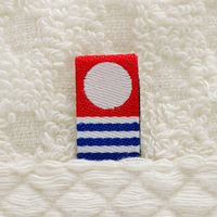 大同 憩 ITSIKI20BE FT 2P 逸織タオル IT-665665 1箱