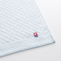 大同 憩 ITSIKI20BL FT 2P 逸織タオル IT-665733（直送品）