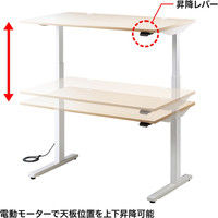サンワサプライ 電動上下昇降デスク 薄い木目 幅1200×奥行700×高さ630～1280mm ERD-M12070LM 1台（直送品）